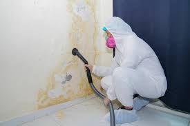 Mold Remediation for Vacation Homes in Marist College, NY